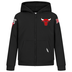 Pro Standard Chicago Bulls Classic Flc Fz Po Hoodie - Boys' Grade School - Black