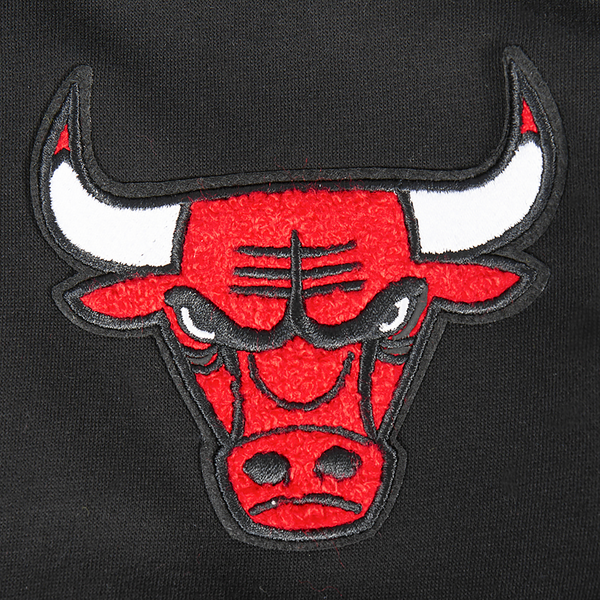 Pro Standard Chicago Bulls Classic Flc Fz Po Hoodie - Boys' Grade School - Black - Image 6