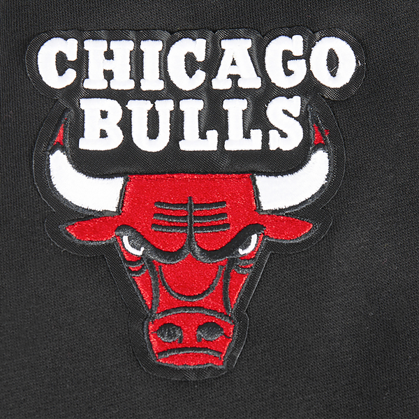 Pro Standard Chicago Bulls Classic Flc Fz Po Hoodie - Boys' Grade School - Black - Image 8