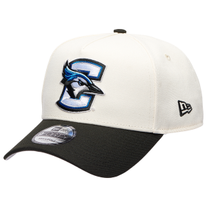 New Era 9FORTY A-Frame Chrome Cap - Adult - Chrome/Black