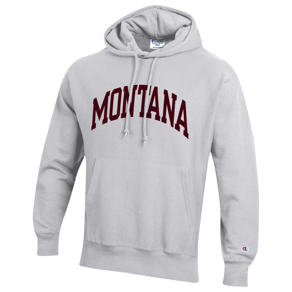 Champion NCAA Reverse Weave Wordmark Hoodie - Men's - Silver Gray